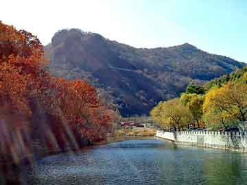 详细阅读:夏威夷椰子叶子尖干枯的原因及防治方法详解 夏威夷椰子叶子尖干枯的原因及防治方法详解